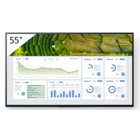 FW-55BZ30L 55INCH PRO