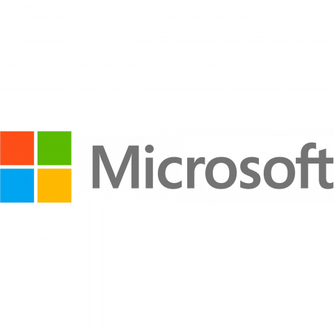 Cloud Microsoft SharePoint Server D-CAL 2019 - perpetual