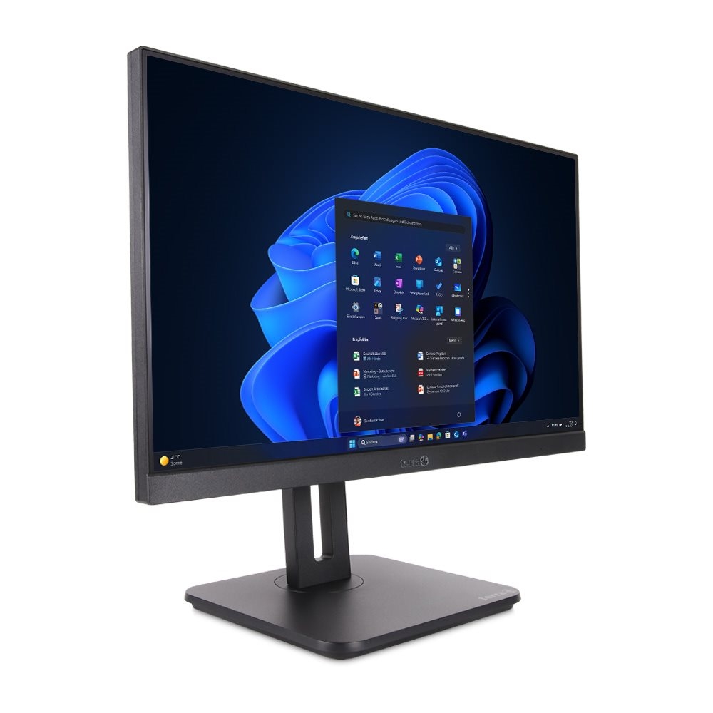 TERRA ALL-IN-ONE-PC 2420HA V2 GREENLINE (1000183)