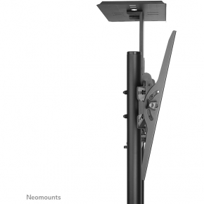 Neomounts PLASMA-M1700E mobiler Bodenständer für Flachbild-Fernseher bis 70 (178 cm).