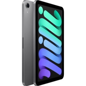 APPLE iPad mini Wi-Fi 512GB - Space Grey