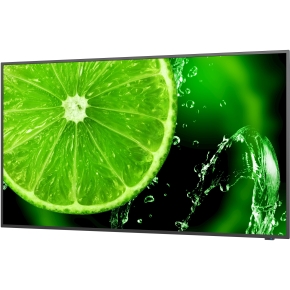 NEC MultiSync E558 55 Display UHD