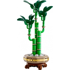 LEGO Botanicals Glücks-Bambus 10344