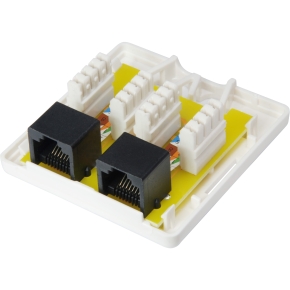 Equip Aufputzdose Cat6 2xRJ45 UTP RAL 9010 Reinweiß