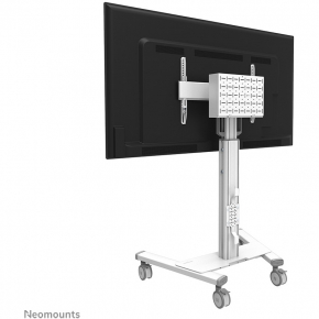 Neomounts FL50S-825WH1 mobiler Bodenständer für 37-75 Bildschirme - Weiß