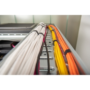 DIGITUS ASSNET100 Cat.5e U/UTP Verlegekabel. 305 m. Eca