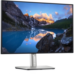 61,13cm/24 (1920x1200) Dell UltraSharp U2421E 210-AXMB 16:10 5ms HDMI 2xDisplayPort USB-C VESA Pivot WUXGA Silver