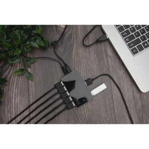 Digitus DA-70229 USB 2.0 HUB 10-Port 10xUSB 2.0