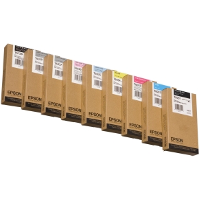 Epson C13T603900 light black