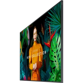 SAMSUNG QM50C UHD-Display 125.7 cm (49.5 Zoll)