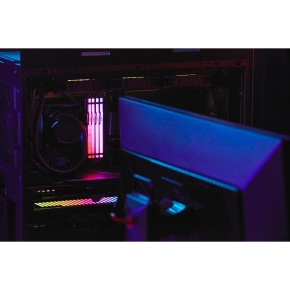 DIMM 32 GB DDR5-5600 (2x 16 GB) Dual-Kit (schwarz. KF556C36BBEAK2-32. FURY Beast RGB. INTEL XMP. AMD EXPO)