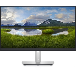 60,96cm/24 (1920x1080) DELL-P2422HE 16:9 5ms IPS DisplayPort VGA HDMI 4xUSB 3.2 VESA Pivot Full HD Black/Silver