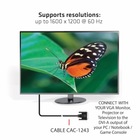 Club3D Kabel DVI > VGA 3m St/St