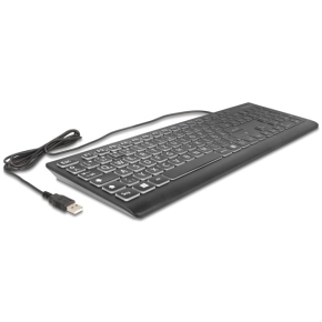 DELOCK USB Tastatur kabelgebunden 1.5m schwarz mit XXL Buchstaben und Beleuchtung