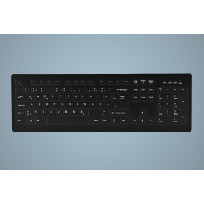 CHERRY ACTIVE KEY MTA AK-C8100 Corded DE-Layout schwarz