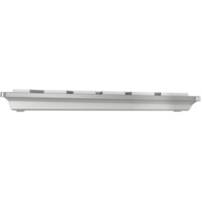 CHERRY TAS KW 9100 SLIM FOR MAC Wireless FR-Layout silver/w