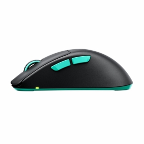 CHERRY XTRFY M64 Wireless. Black Wireless Maus