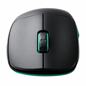 CHERRY XTRFY M64 Wireless. Black Wireless Maus