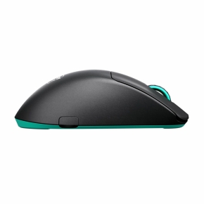 CHERRY XTRFY M64 Wireless. Black Wireless Maus
