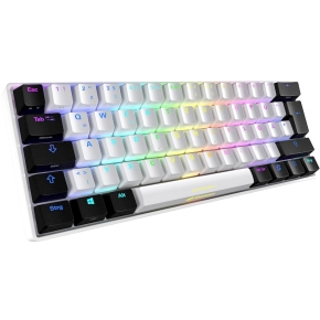 Sharkoon Gaming Tastatur Skiller SGK50S4 weiß-blau DE