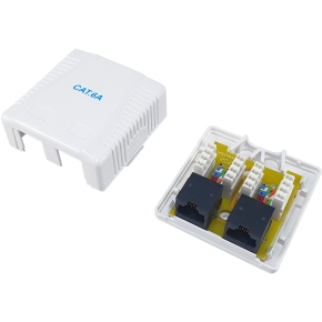 Equip Aufputzdose Cat6A 2-Port 2x RJ45 UTP