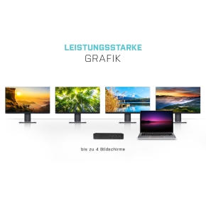 D I-TEC Dockingstation Quattro Display