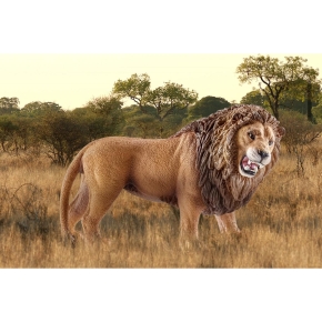 Schleich Wild Life Lwe. brllend
