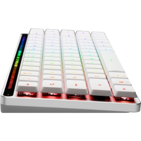 Asus Tastatur ROG Falchion RX LP RL Gaming Tastatur Swiss
