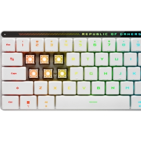 Asus Tastatur ROG Falchion RX LP RL Gaming Tastatur Swiss