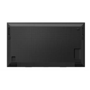 FW-55BZ30L 55INCH PRO