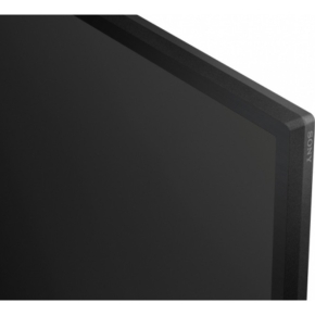FW-55BZ30L 55INCH PRO