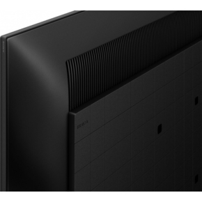 FW-55BZ30L 55INCH PRO
