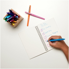 PAPER MATE Faserschreiber Flair M 0.7mm 16er Etui sortiert Blister