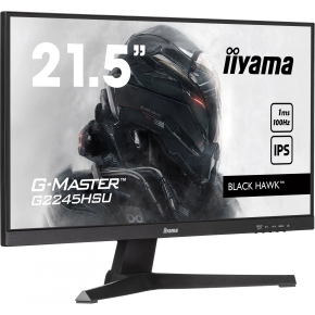 IIYAMA 68.6cm (27) G2766HSU-B1 16:9 2xHDMI+DP+USB Curved