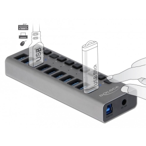DELOCK Externer SuperSpeed USB Hub mit 10 Ports + Schalter