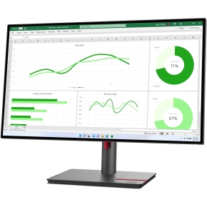 68,6cm/27 (2560x1440) Lenovo ThinkVision P27q-30 16:9 QHD IPS 4ms 60Hz HDMI DP Pivot Black