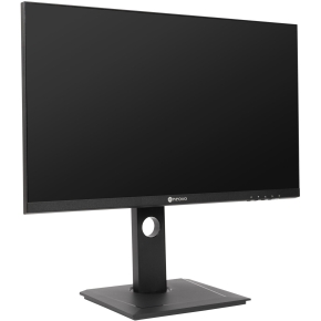 DW-2401 24IN IPS 2560X1440 300