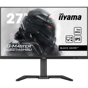 IIYAMA 60.5cm (23.8) XU2491H-B1 16:9 HDMI+DP IPS