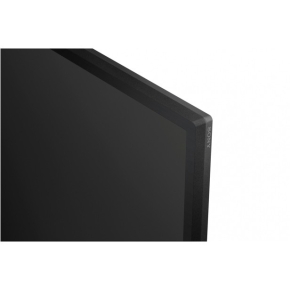 FW-65BZ30L 65INCH PRO