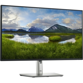 68,6cm/27 (1920x1080) Dell P2725H 16:9 FHD IPS 5ms 100Hz HDMI DP VGA USB-C Black/Silver