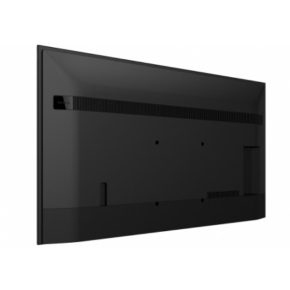 FW-65BZ30L 65INCH PRO