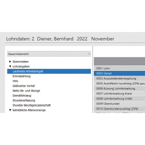 Lexware Büroservice komplett 2023 Einzelplatzversion 1 Device, ABO - ESD-DownloadESD