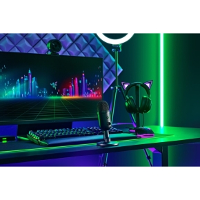 Razer Seiren V2 X Mikrofon black