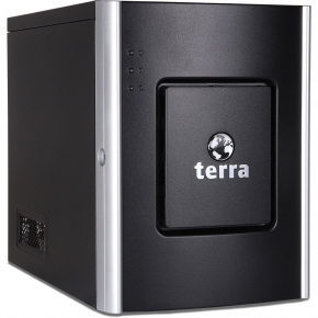 TERRA MINISERVER G5 E-2356G/32/2x960/C/WS2022S (1100293)