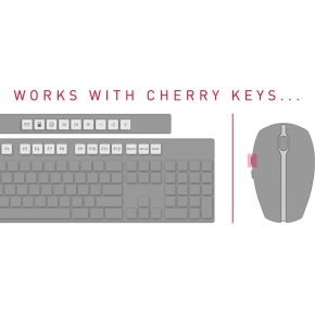 CHERRY DW 5100 CZECHIA