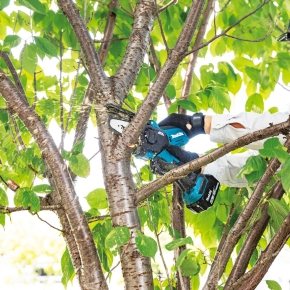 Makita Astsäge DUC101Z - ohne Akku