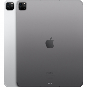 Apple iPad Pro 12.9 Wi-Fi + Cellular 256GB spacegrau (6.Gen.)